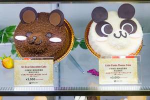 Mr. Bear Chocolate Cake & Little Panda Cheese Cake in Tokyo