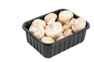Mushrooms in the box above white background