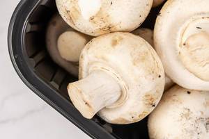 Mushrooms in the box