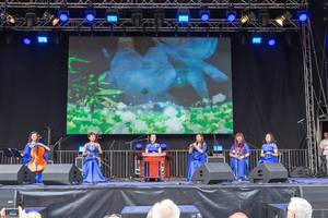 Music group plays on traditional Chinese instruments - Chinafest, Cologne