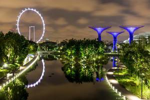 Nachtaufnahme: Singapur Flyer (Riesenrad) und Supertree Grove