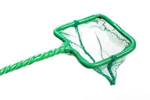 Nahaufnahme der Öffnung eines Fangnetzes für ein Aquarium in grün auf weißem Hintergrund