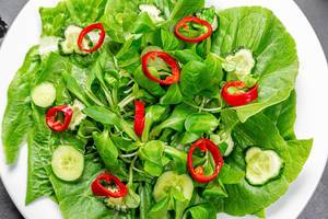 Nahaufnahme eines frischen Römer Salats, Salatgurken und Chili-Paprika von oben
