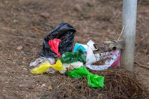 Nahaufnahme von achtlos auf den Waldboden geworfenem Plastikmüll