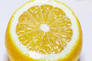 Nahaufnahme von frisch aufgeschnittener Zitrone vor weißem Hintergrund