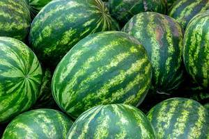 Nahaufnahme von frischen ganzen Wassermelonen mit typisch gestreifter Farbe