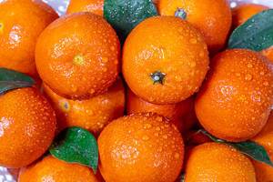 Nahaufnahme von frischen Mandarinen mit Wassertropfen