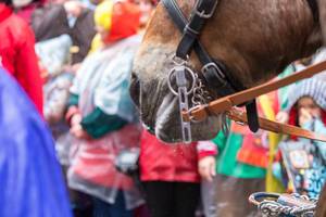 Nahaufnahme von Pferd mit Schaum am Maul beim Rosenmontagszug in Köln