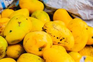 Nahaufnahme von reifen, gelben Mangos