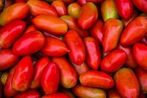 Nahaufnahme von Roma Tomaten