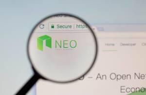 NEO logo on a computer screen with a magnifying glass