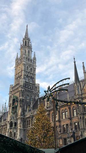 Neues Rathaus in München und geschmückter Weihnachtsbaum auf dem Marienplatz