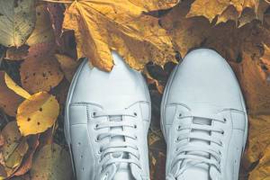New white sneakers on autumn yellow leaves (Flip 2019)