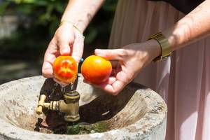Obst waschen in Brunnen