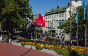 Old Quebec City Street with Flower