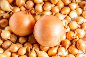 Onion background with large bulbs and small ones