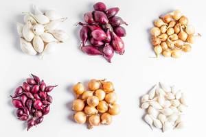 Onions of different colors and varieties