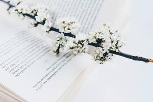 Open book and spring flowers