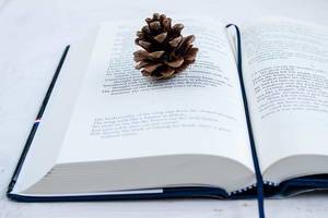 Open book with a cone symbolising the snug time of the year staying inside and reading