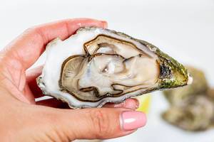 Open oyster in a woman