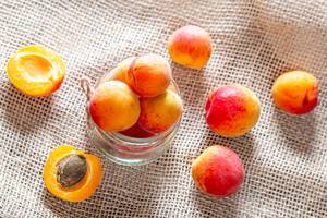 Orange ripe apricots on burlap background