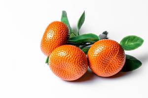Orange tangerines with green leaves fridge magnets (Flip 2020)