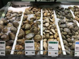 Oysters, Clams and Steamers