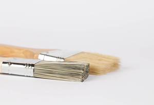 Paint brushes prepared for painting  Flip 2019