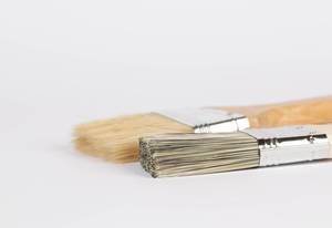 Paint brushes prepared for painting