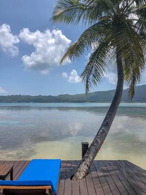 Palm grows through wooden dock next to sun lounger at "Iles des Palmes Resort"  in front of Baie Sainte Anne in Praslin, Seychelles