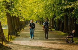 Pärchen spaziert unter einer Allee durch den Park