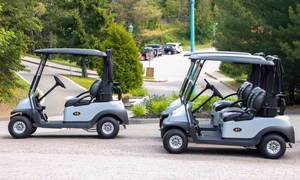Park Golf Carts
