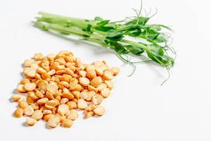 Pea grain and young pea sprouts on a white background