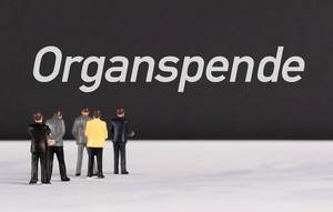 People standing in front of Organspende text