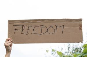 Person hält Karton mit dem Wort FREEDOM. Verlangen nach Freiheit