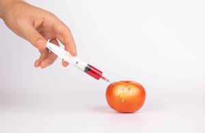 Pestizide und Nitrate werden mit einer Spritze in einen roten Apfel gespritzt