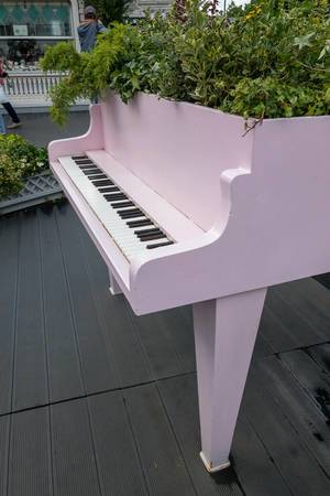Piano repurposed to a giant flower planter