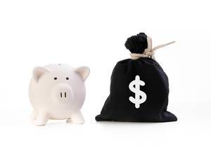 Piggy bank and money bag with dollar symbol