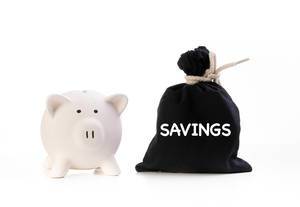 Piggy bank and money bag with Savings text on white background