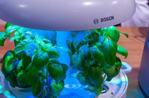 Plant light by Bosch
