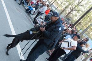 Polizist mit Polizeihund vor Menschenmasse in New York City, USA