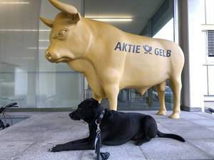 Postbank Bulle mit Aktie Gelb Aufschrift und schwarzer Labrador Hund imitierend