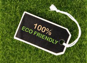 Preisschild mit der bunten Aufschrift „100% ECO FRIENDLY“ (100% umweltfreundlich) auf Wiese