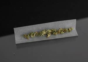 Preparing a Joint in Cigarette Paper on Black Background