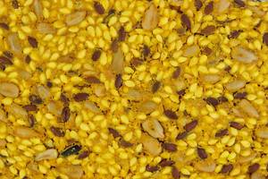 Protein Curcuma Cereals Crackers closeup image