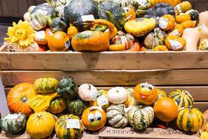 Pumpkins of different varieties, some of them painted over
