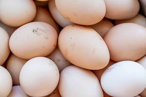 Raw chicken eggs background