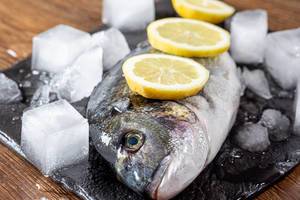 Raw Dorado fish with ice and lemon slices close-up