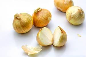 Raw Onion on a White Background