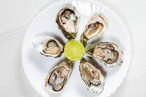 Raw oysters on a white plate with half a lime. Top view (Flip 2019)